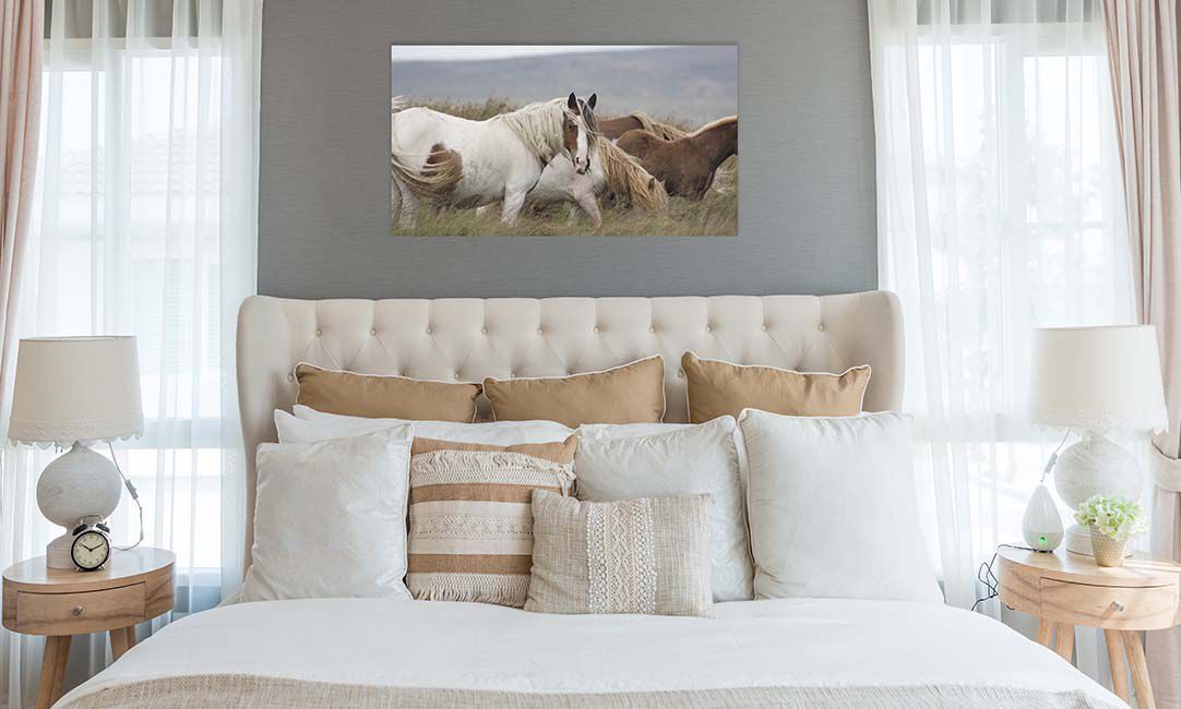 Acrylic Prints