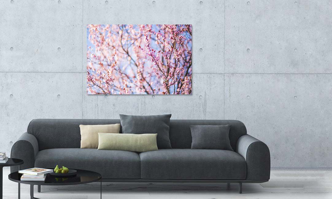 Metal Prints
