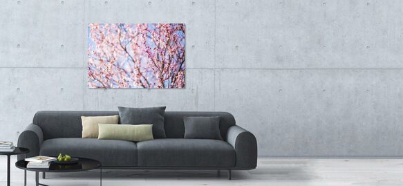 Metal Prints